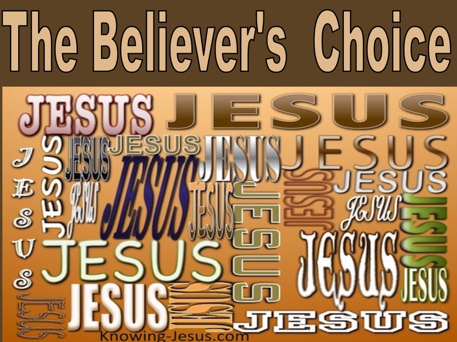The Believer's  Choice (devotional)01-24 (brown)